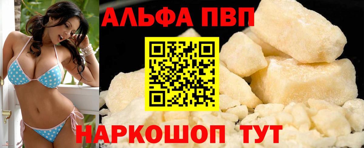 Альфа ПВП СК КРИС Туапсе