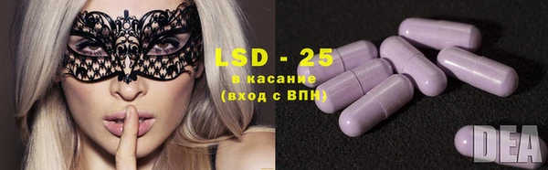хмурый Ладушкин