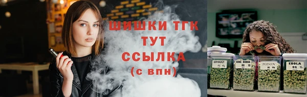 хмурый Ладушкин