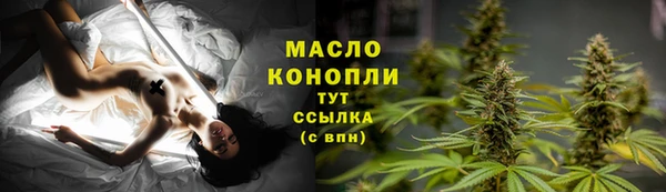 хмурый Ладушкин