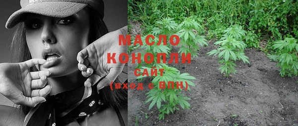хмурый Ладушкин