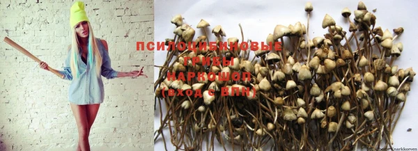 дживик Лабытнанги