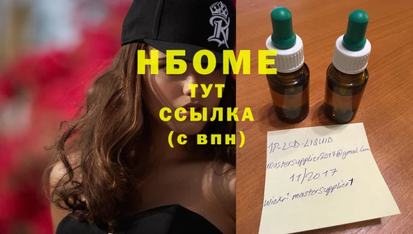 хмурый Ладушкин